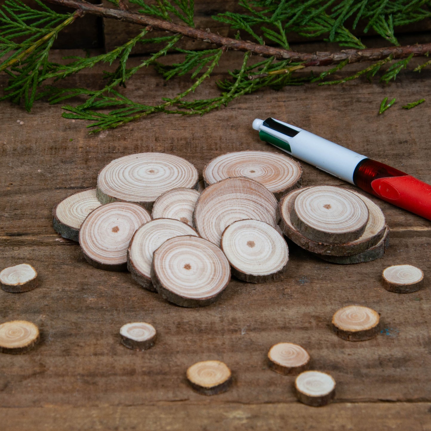 2 - 4 cm Wood Slices (Pack of 10)