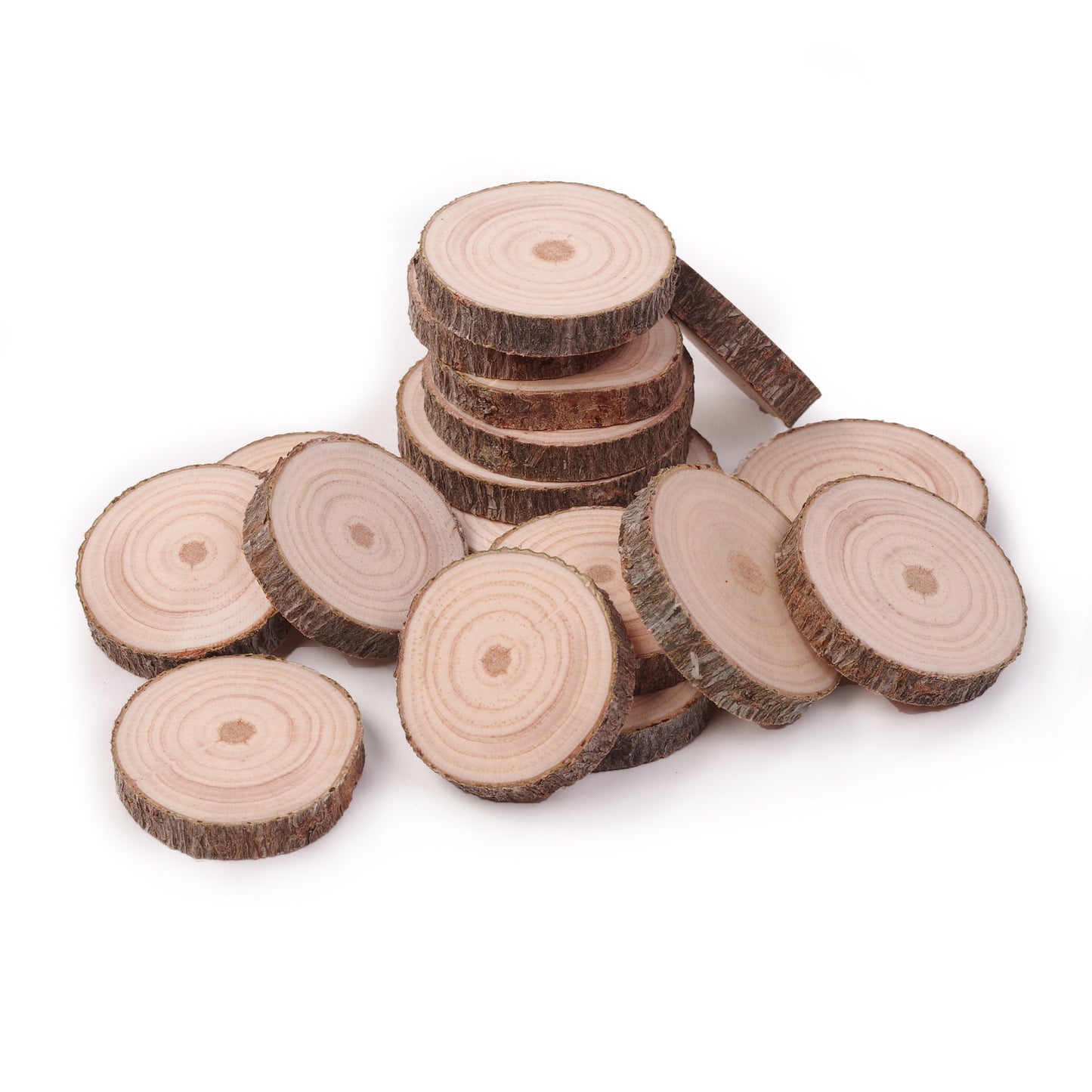 2 - 4 cm Wood Slices (Pack of 10)