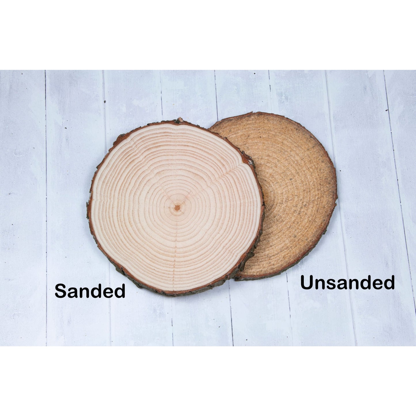 Pine Wood Slices - Sanded - Large wood slices