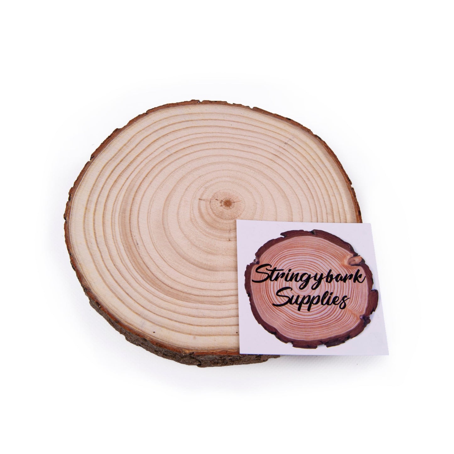 Pine Wood Slices - Sanded - Large wood slices