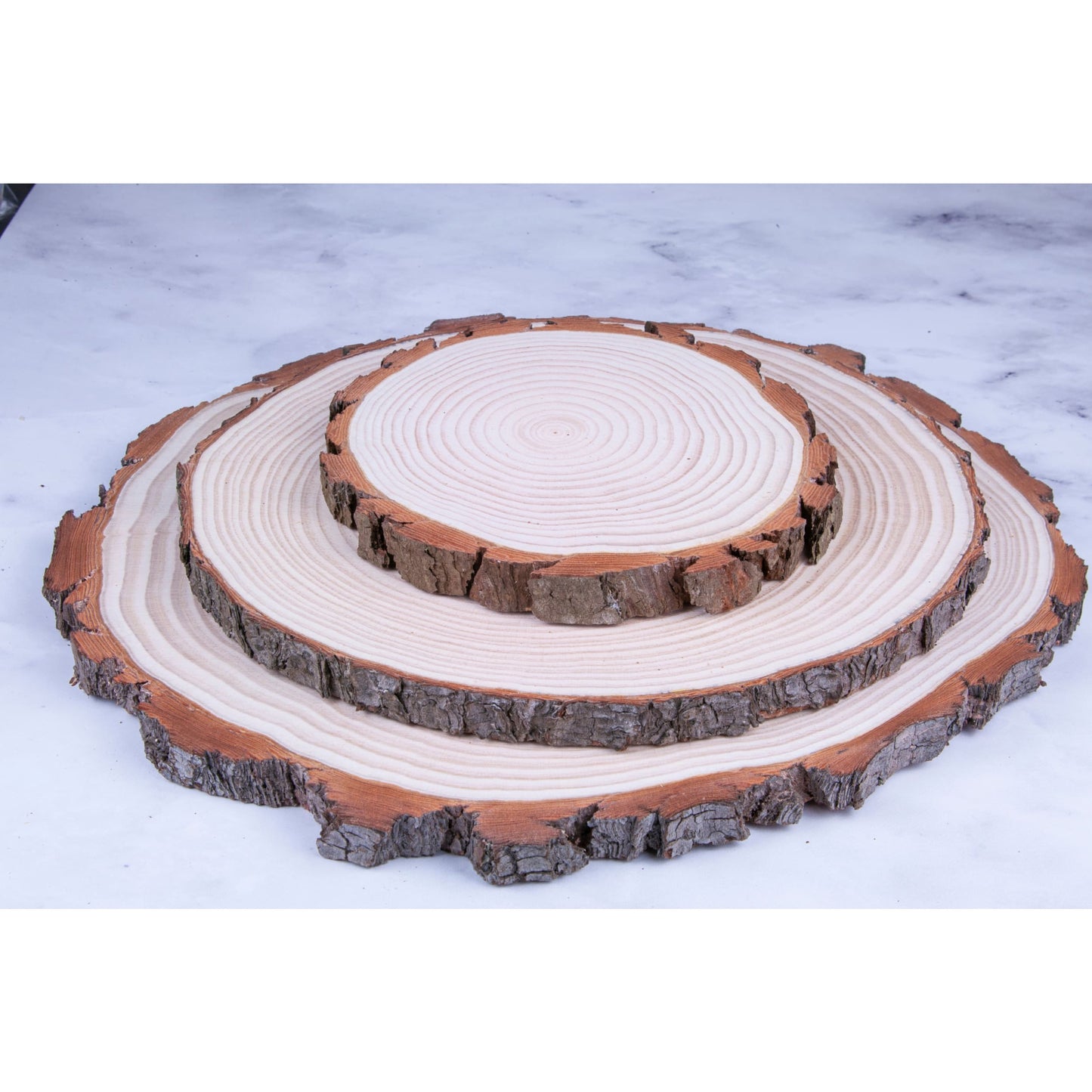 Pine Wood Slices - Sanded - Large wood slices