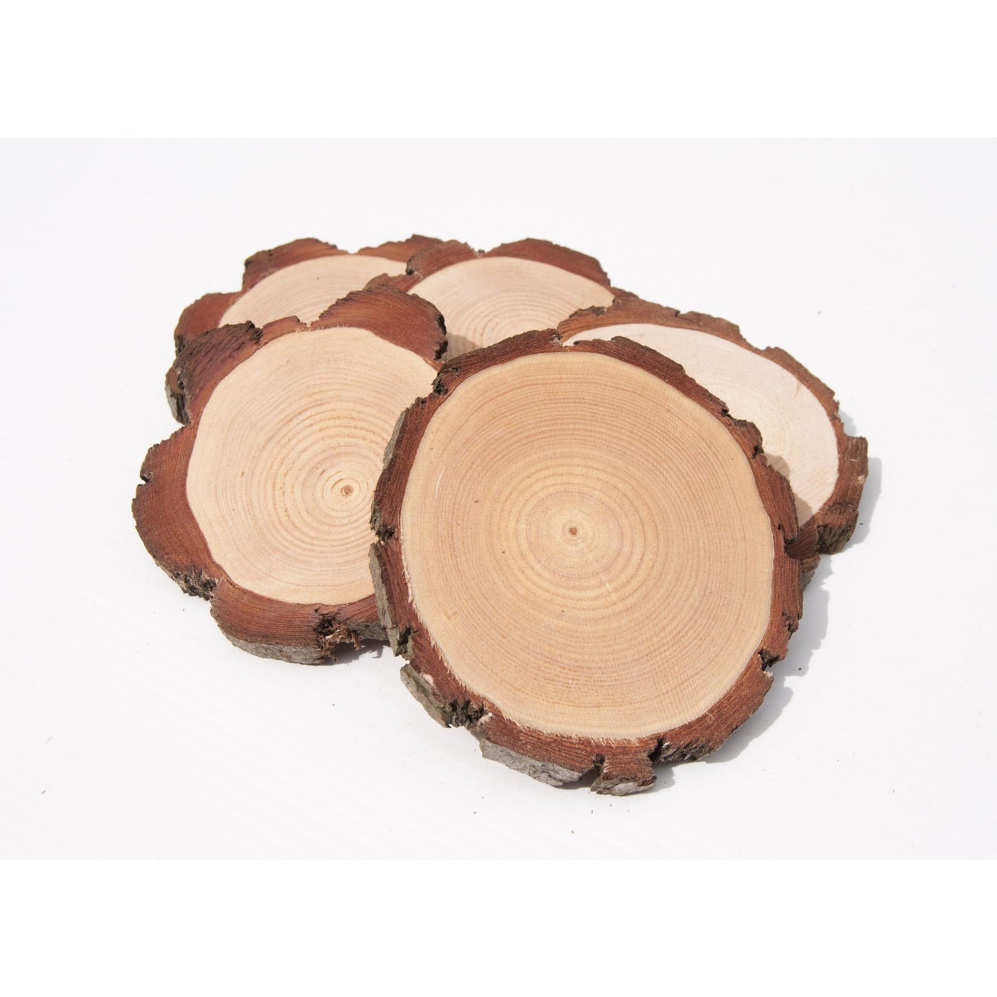 10 - 12 cm Wood slices (10 pack) - Small Wood Slices
