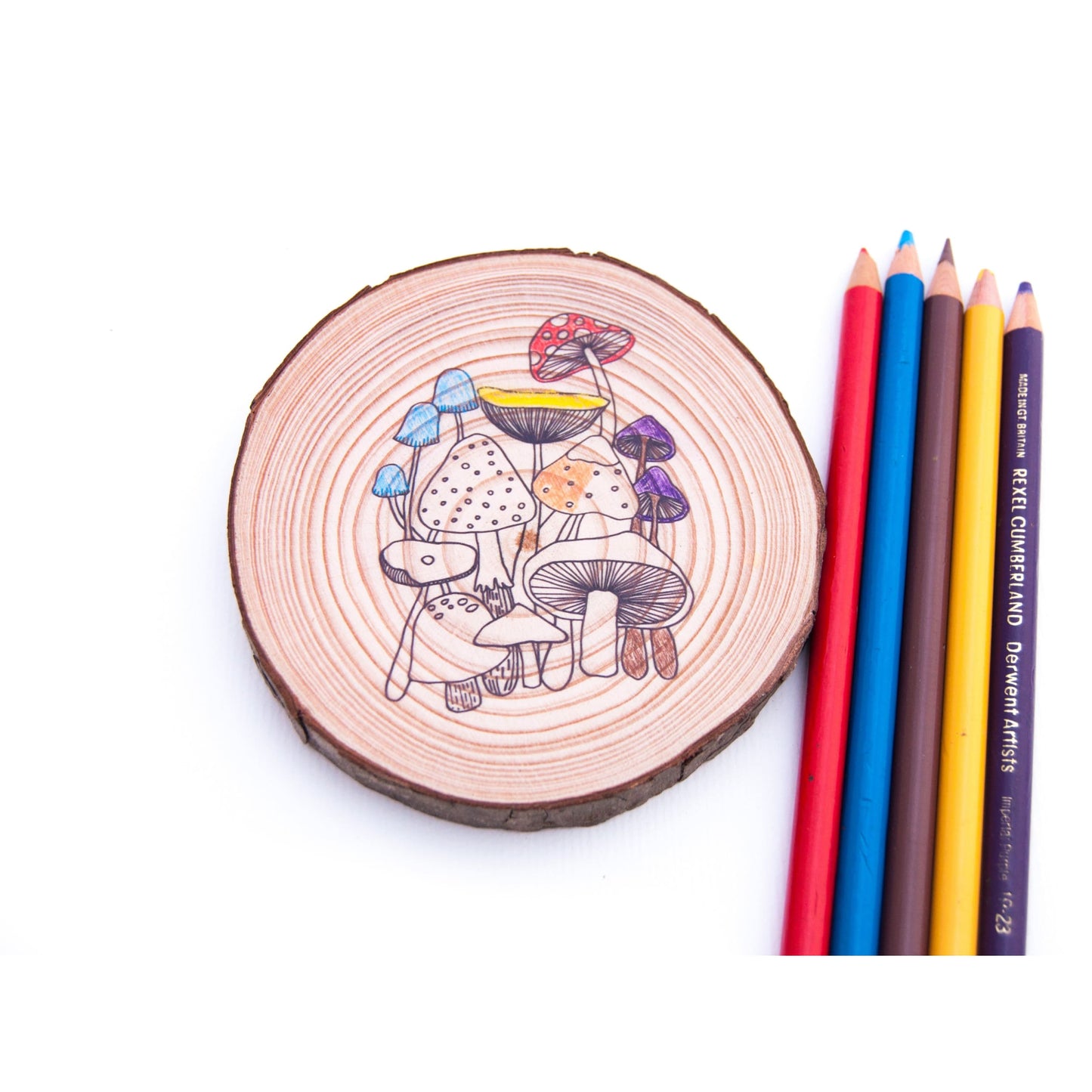 Colouring Wood Slice - Mushrooms - Colouring