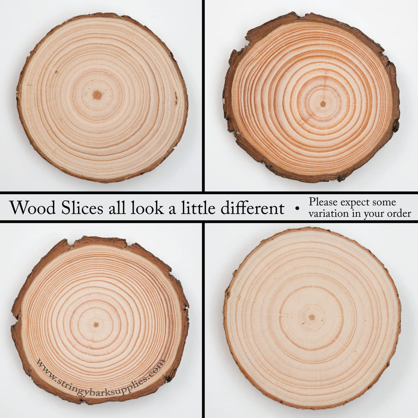 2 - 4 Cm Wood Slices (20 Pack) - Small Wood Slices