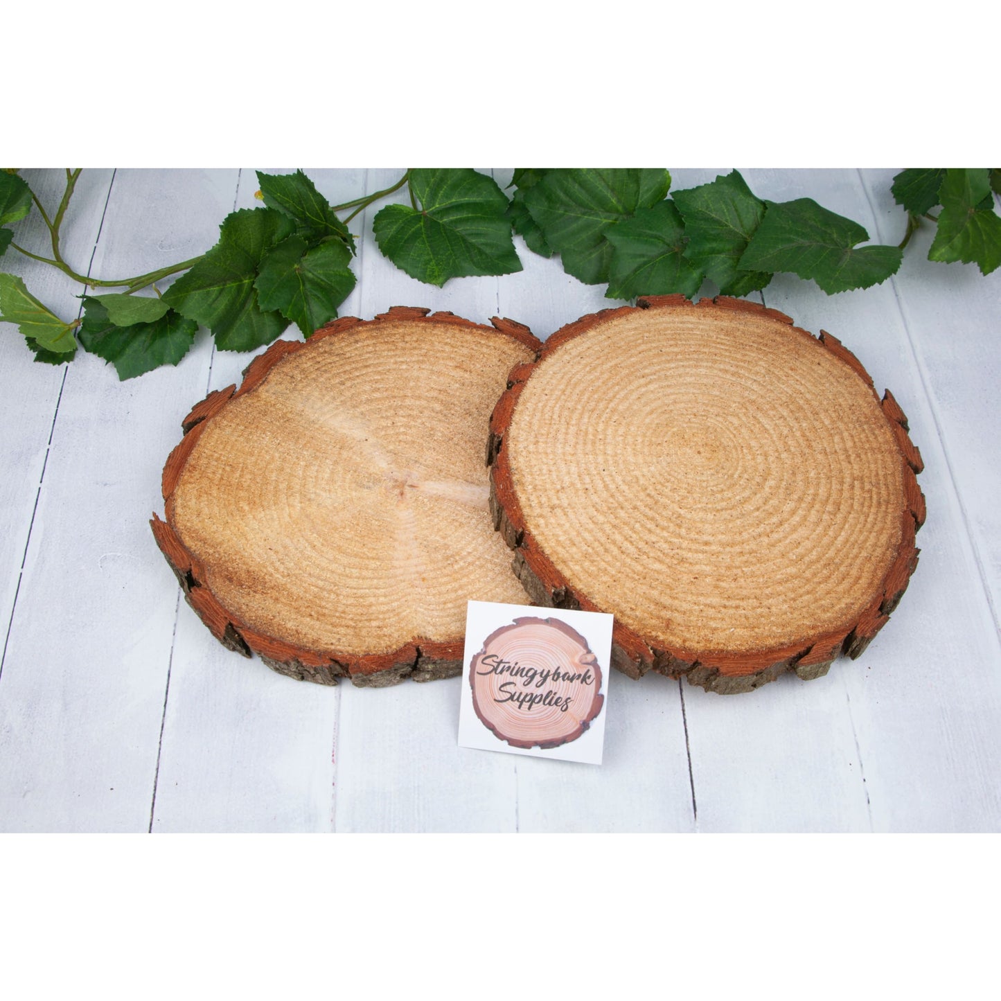 Rustic Pine Wood Slices - Centerpeices