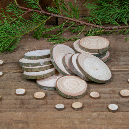 4 - 6 cm Wood slices (Pack of 10)