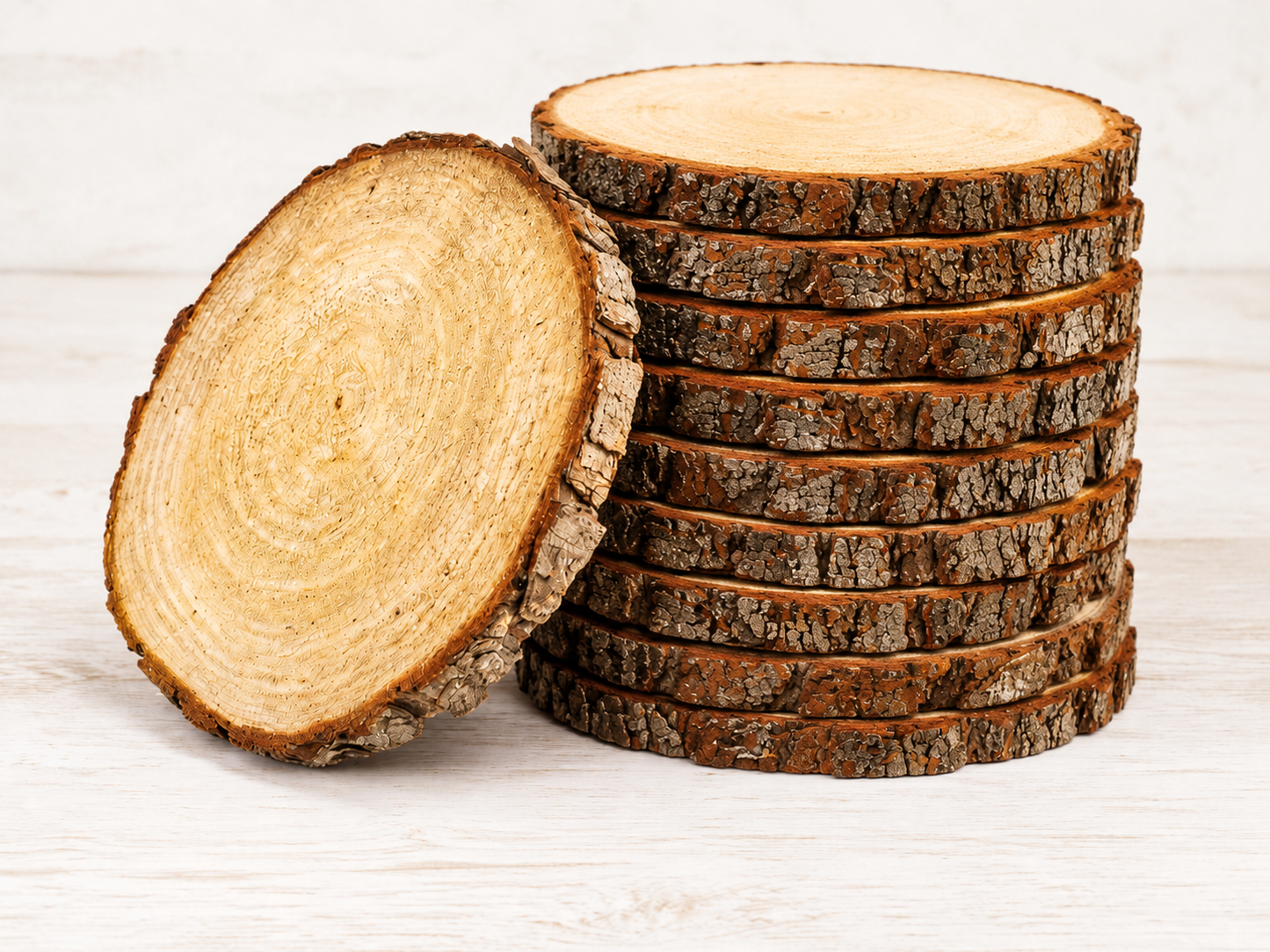 Rustic Pine Wood Slices (Set of 10)