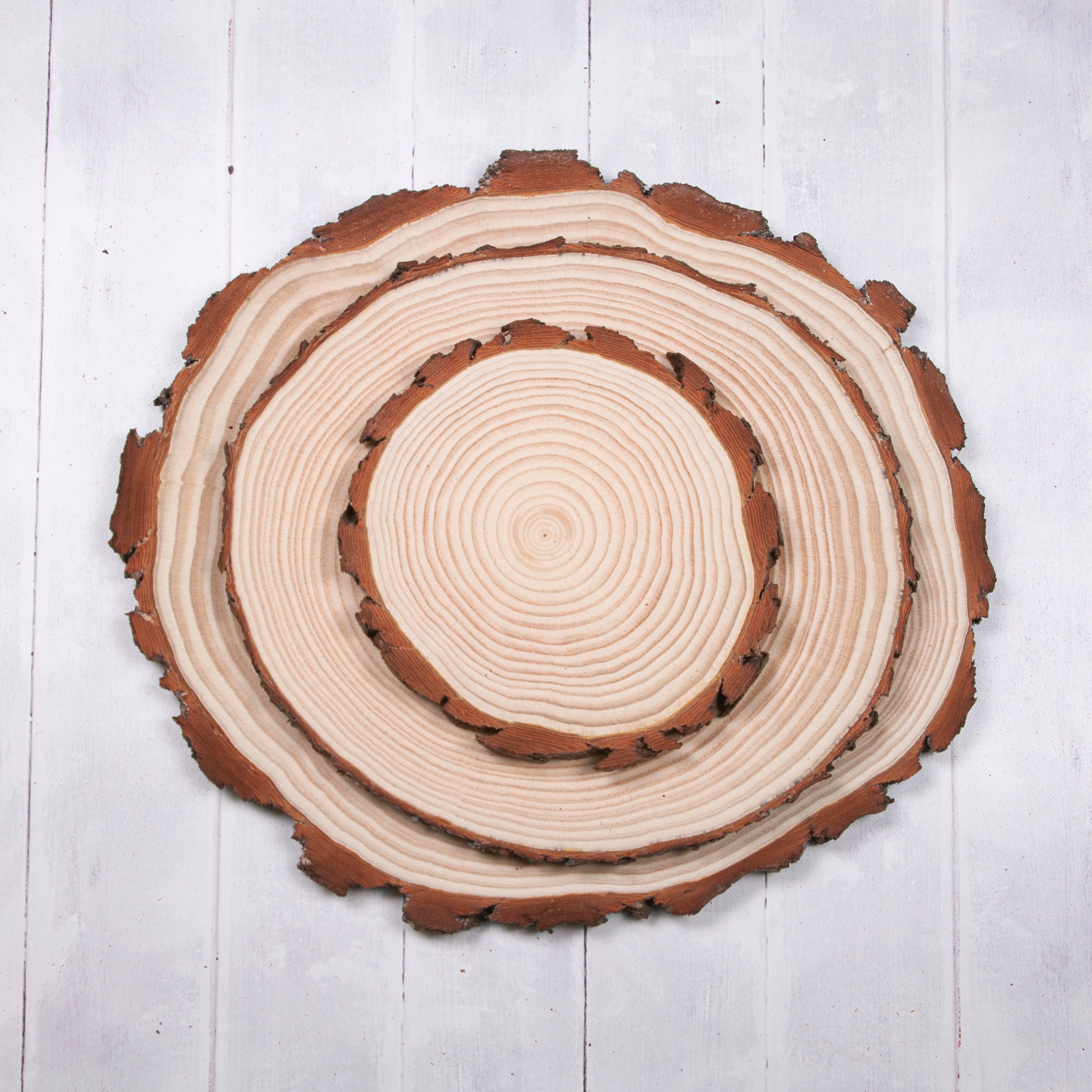 Pine Wood Slices Sanded 12 35 cm Stringybark Supplies