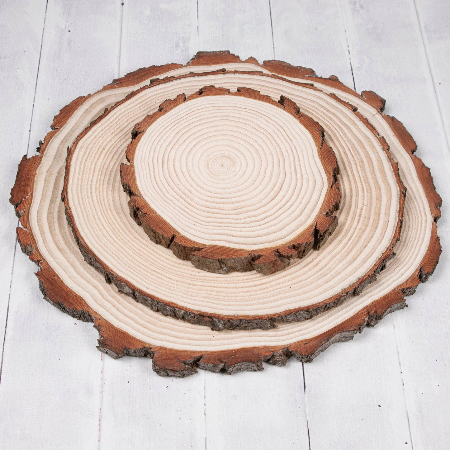 Pine Wood Slices - Sanded one side