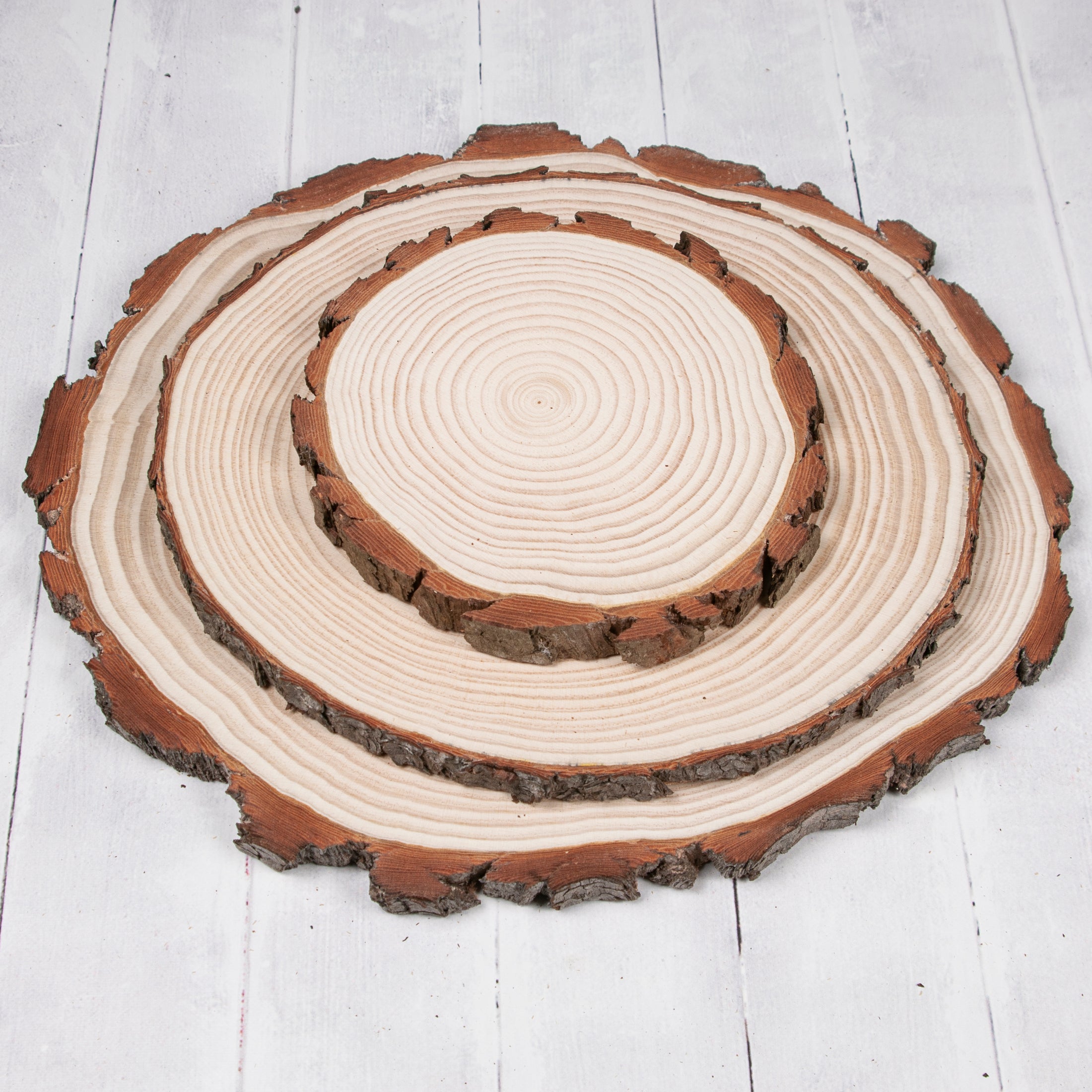 Pine Wood Slices Sanded 12 35 cm Stringybark Supplies