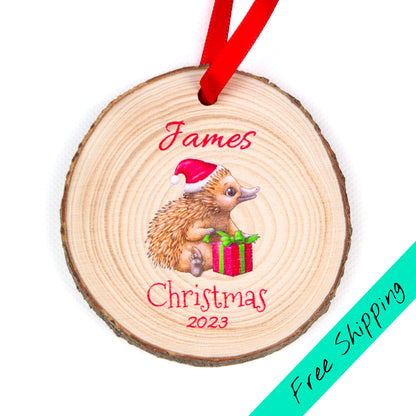 Wood slice christmas ornament echidna design on white background