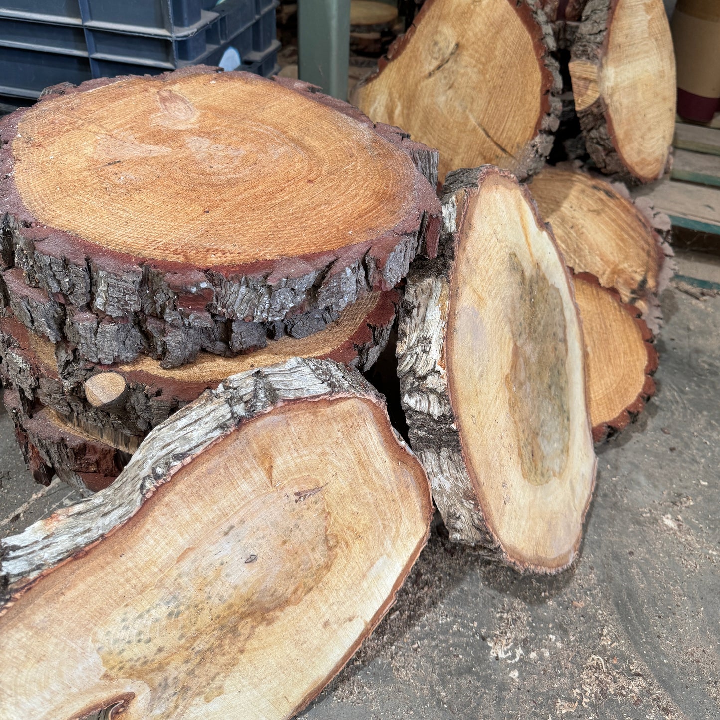 Extra Large Seconds (30 - 45 cm, 4 cm thick) contact us for quote