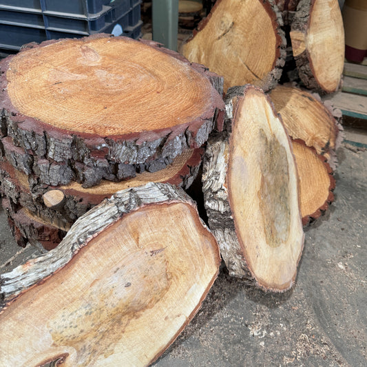 Extra Large Seconds (30 - 45 cm, 4 cm thick) contact us for quote