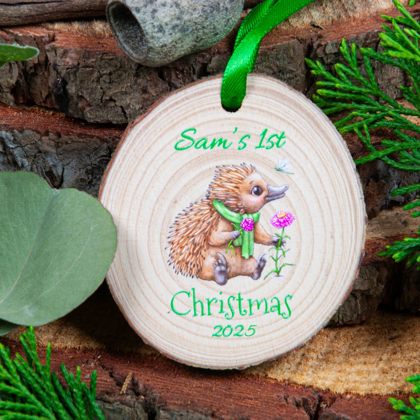 Personalised - First Christmas - Echidna