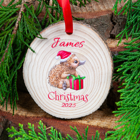 Personalised - Christmas - Echidna