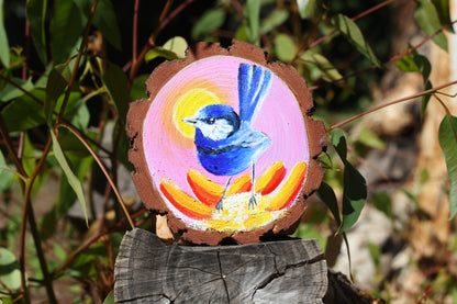 12 - 14 cm Wood slices (Pack of 10)