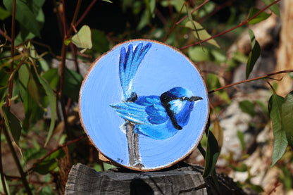 8 - 10 cm Wood slices