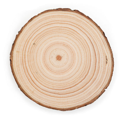 Sample Wood Slice