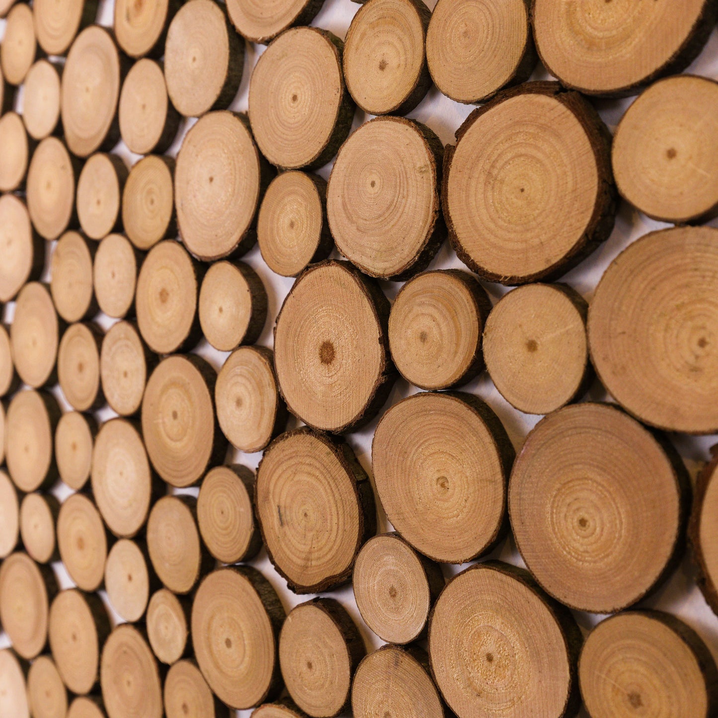 Wood Slice Feature Wall Kit (per m²)