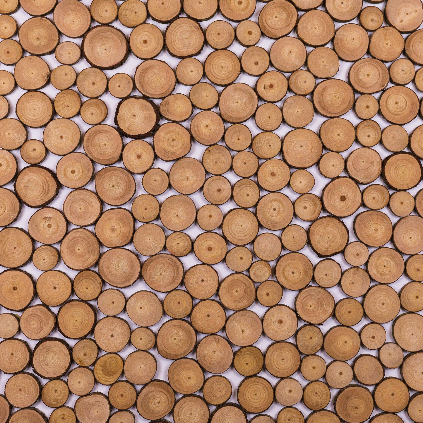 Wood Slice Feature Wall Kit (per m²)