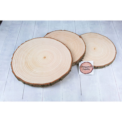 Pine Wood Slices - Sanded - Large wood slices