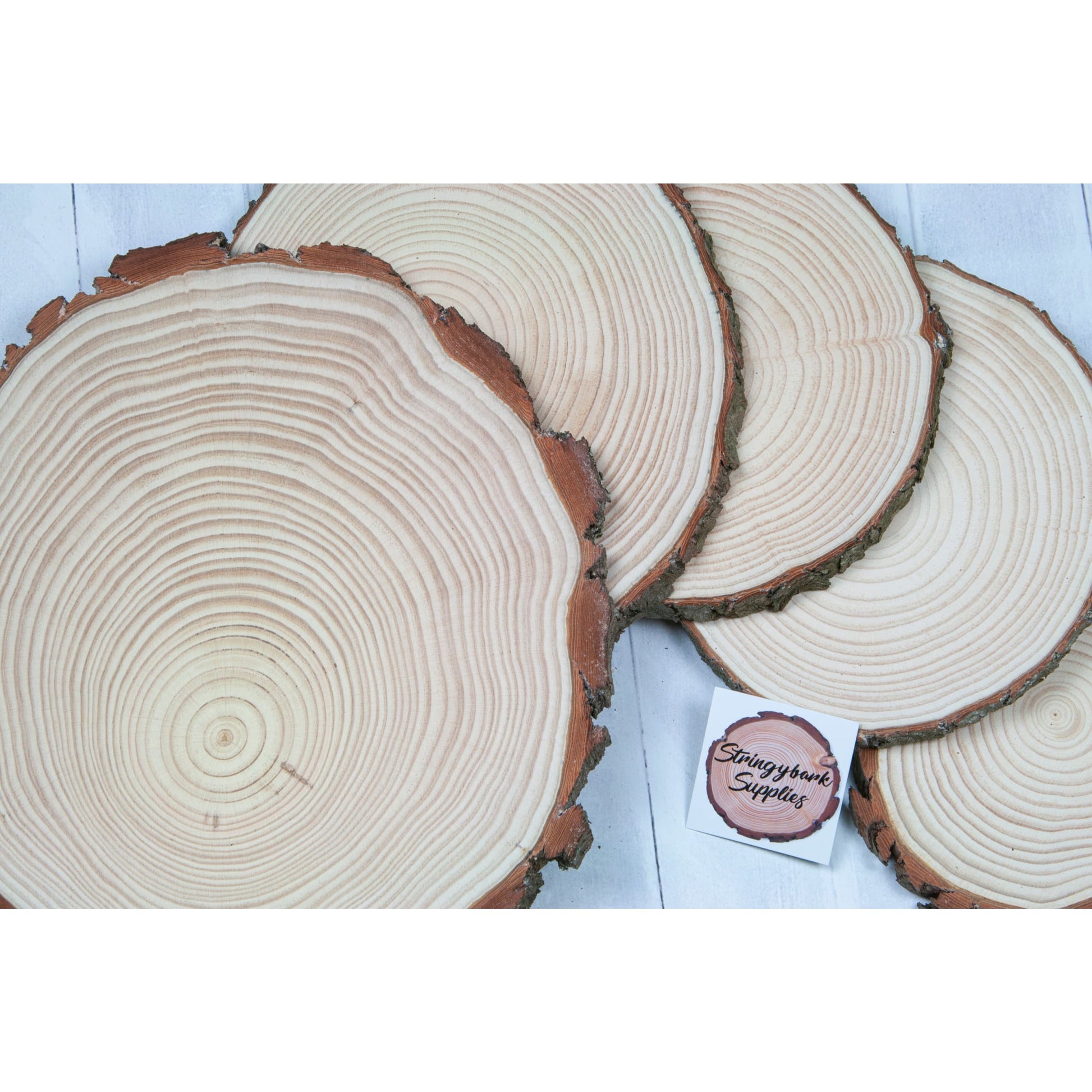 Large Wood Slices 4 Pcs 12-14 Inches Wood Rounds Natural Wood Slices for  Centerp