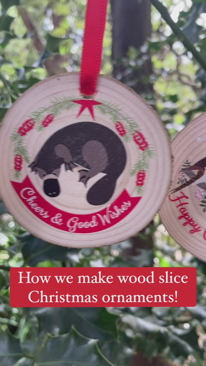 Australian Birds Christmas Ornaments (Set of 3)