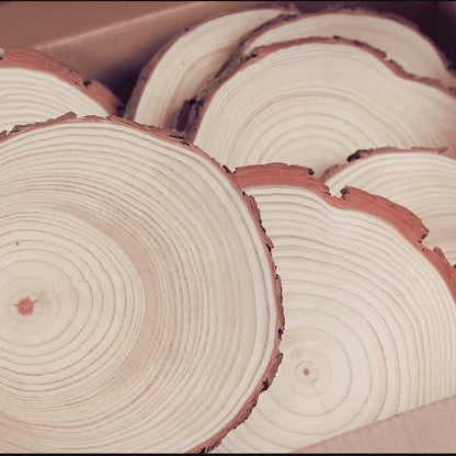 12 - 14 cm Wood slices (Pack of 10)