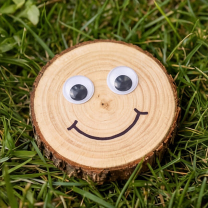 5 - 6 cm wood slice bulk pack (200 pieces)