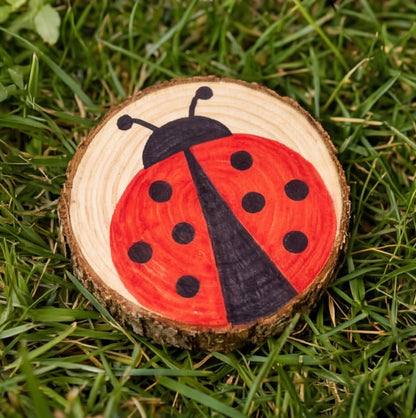 5 - 6 cm wood slice bulk pack (200 pieces)