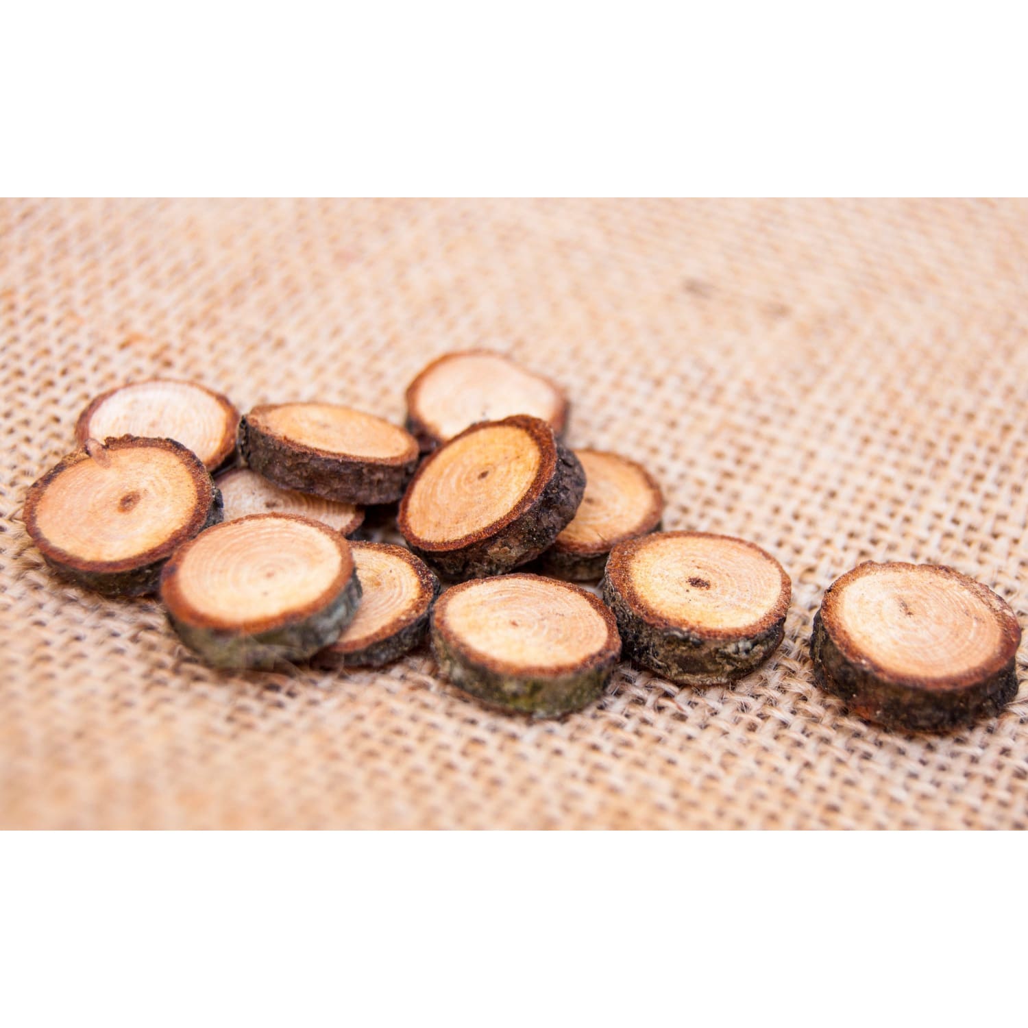 1 - 2 Cm Wood Slices (20 Pack) - Small Wood Slices