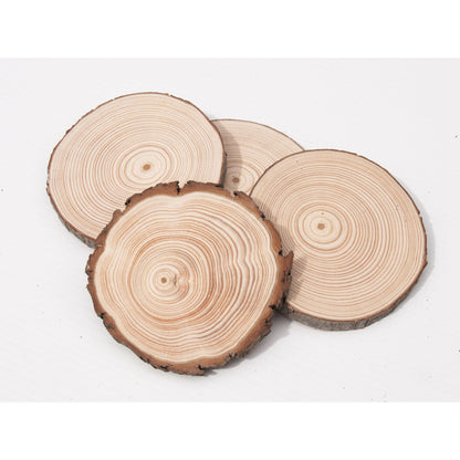 10 - 12 cm Wood slices (10 pack) - Small Wood Slices