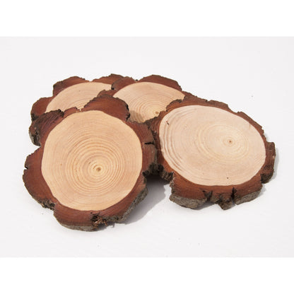 10 - 12 cm Wood slices (10 pack) - Small Wood Slices