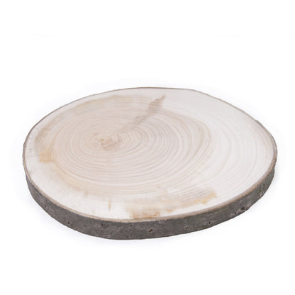 20 - 25 cm - Poplar Wood Slice - Sanded on one side - Large wood slices