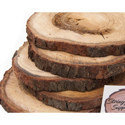 15 - 20 cm - Silvertop Ash Eucalyptus Wood Slice - Large wood slices