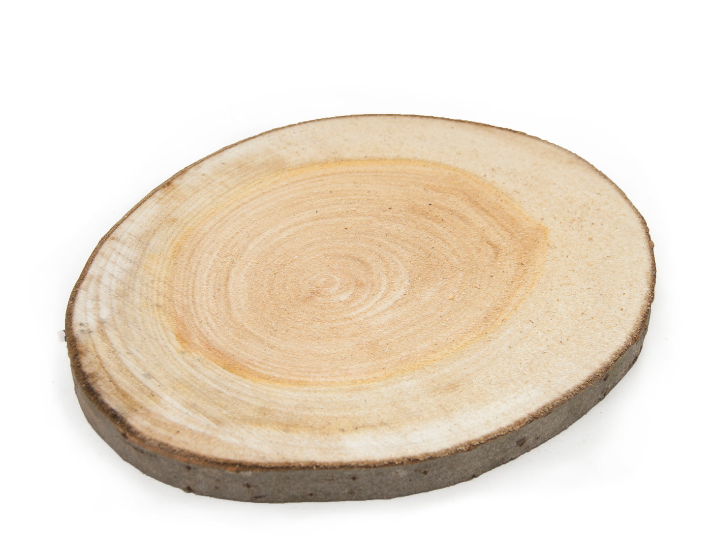 Poplar Wood Slice - Sanded on one side