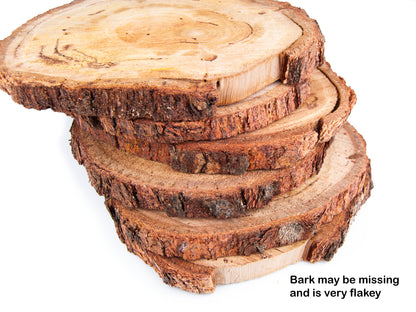 5 pack | 19 - 24 cm - Silvertop Ash, Eucalyptus Wood Slice