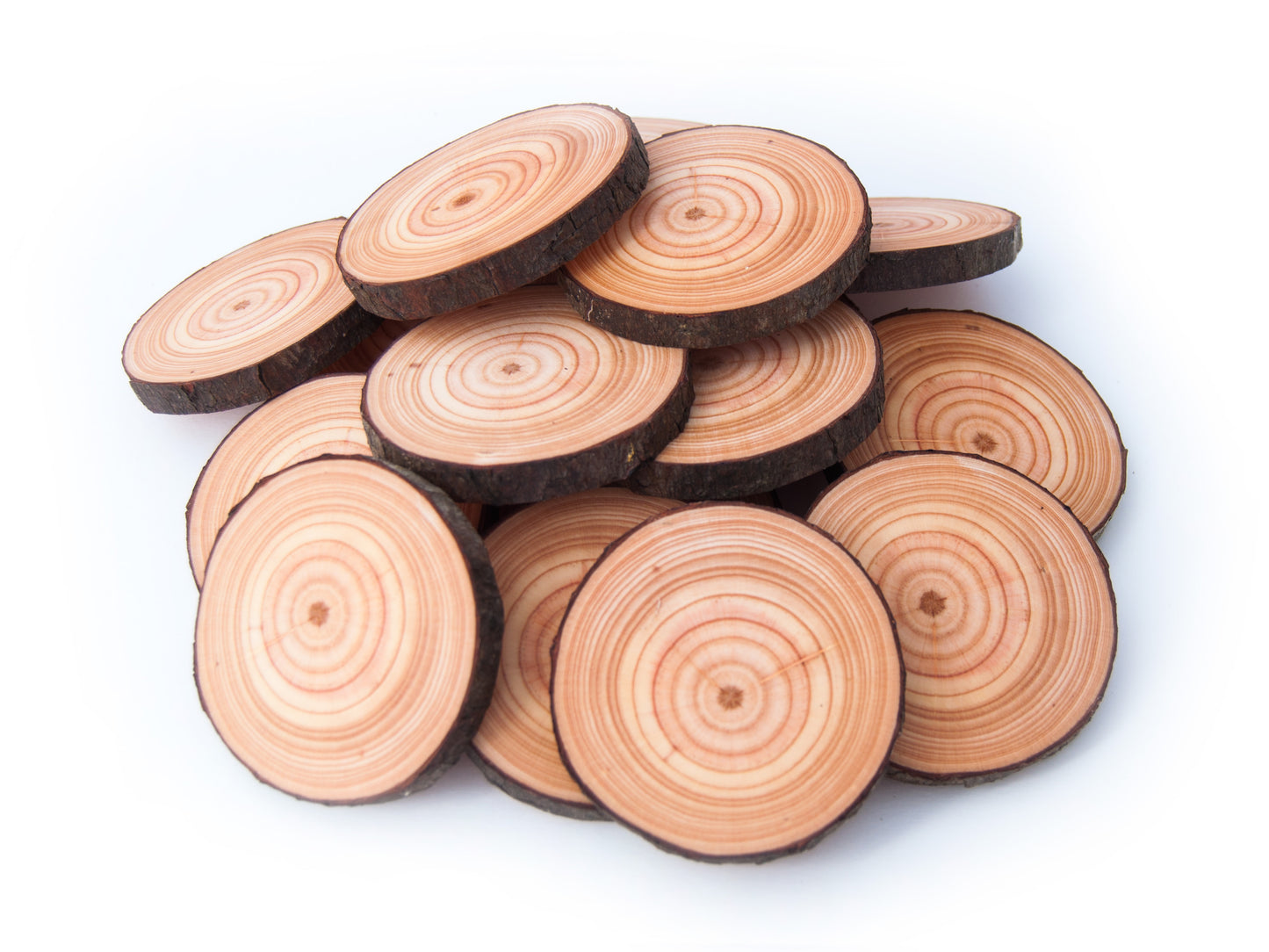 Plain Wood Slice Coasters | 10 pack