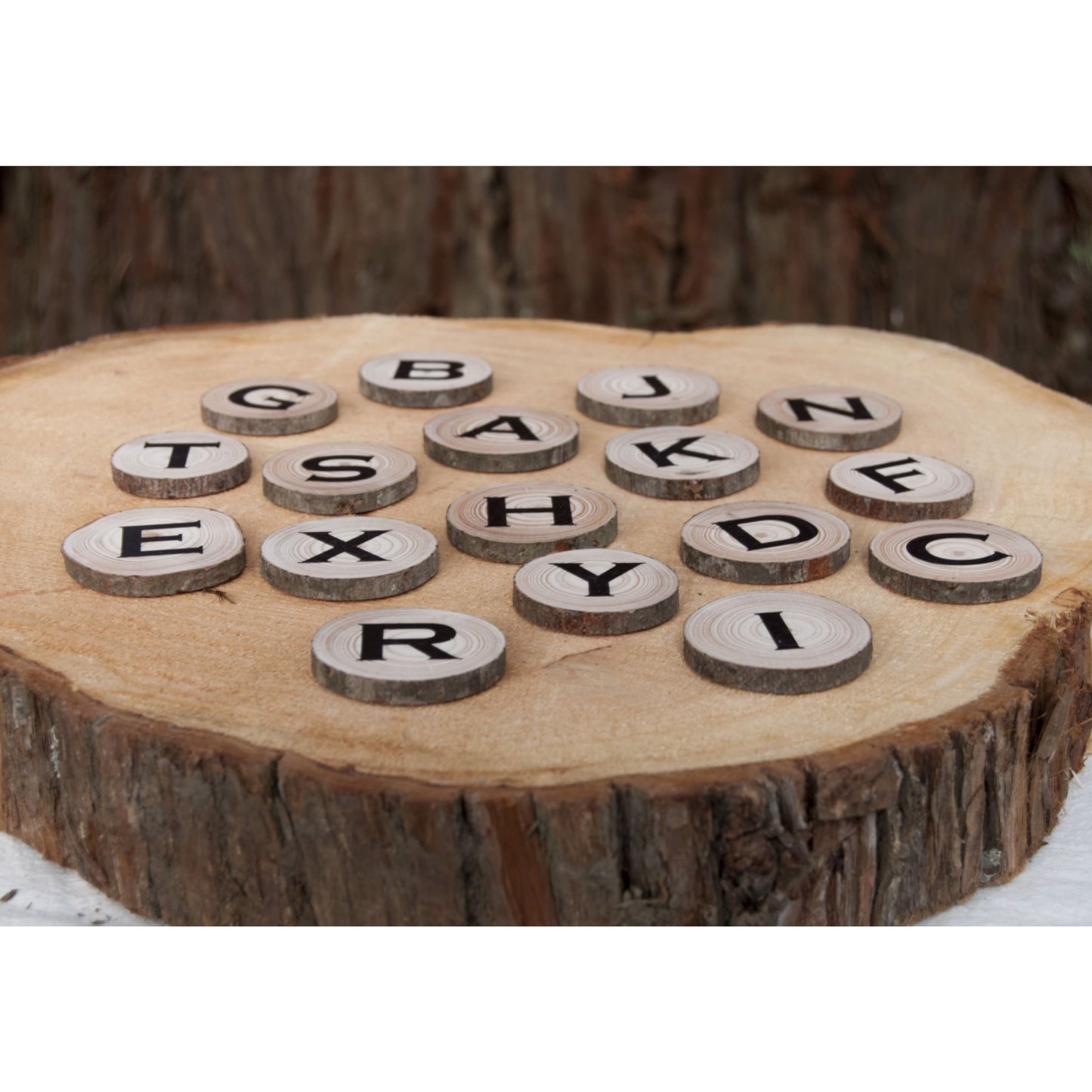 Alphabet letter magnets - Alphabet Magnets