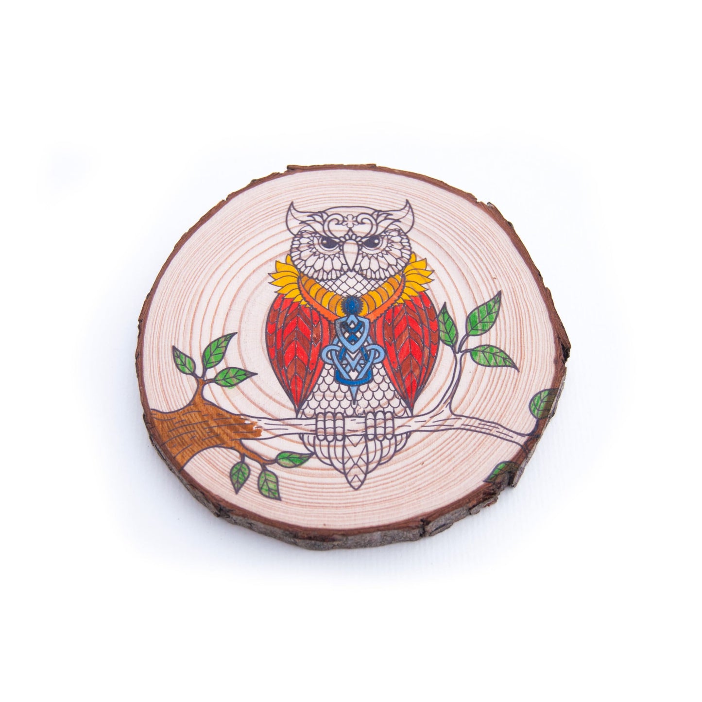 Colouring Wood Slice - Owl - Colouring