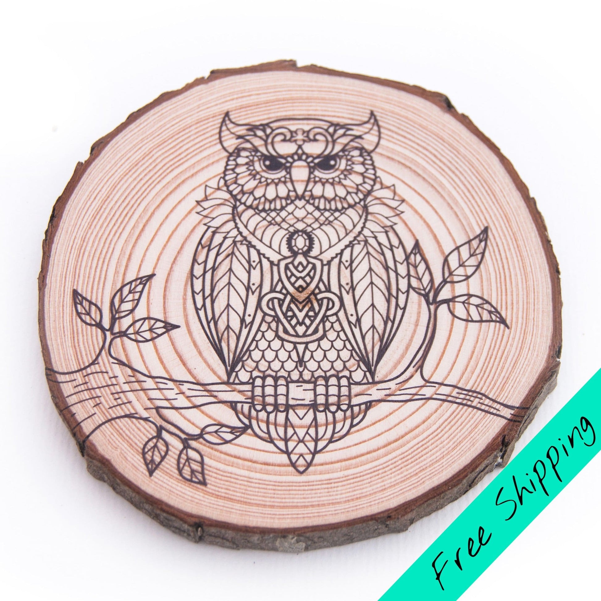 Colouring Wood Slice - Owl - Colouring