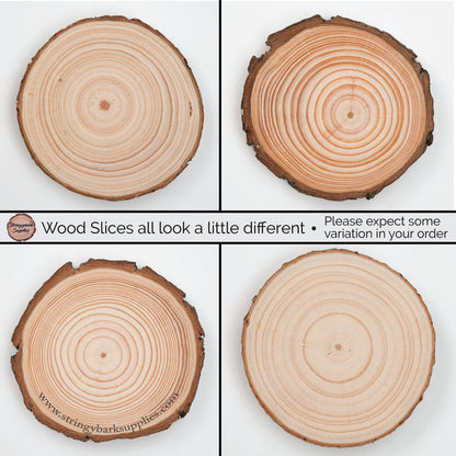 24 Piece Wood Slice Craft Pack - Wood slice kits