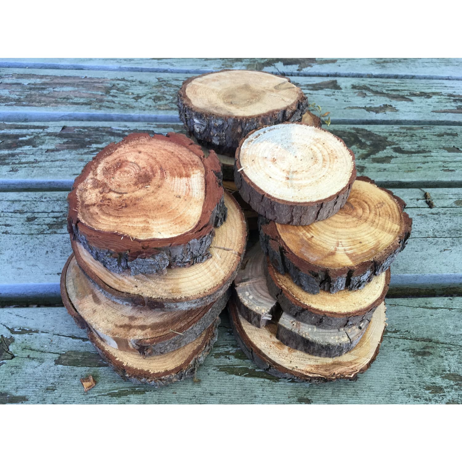 Large Wood Slice Seconds (10 Pack) - Large Wood Slices