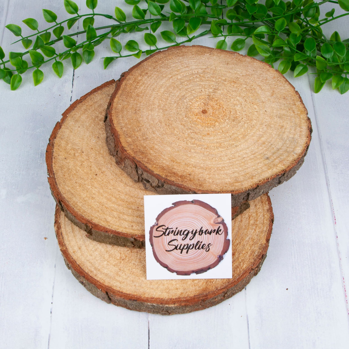Rustic Pine Wood Slices – Natural Timber Rounds | Stringybark Supplies