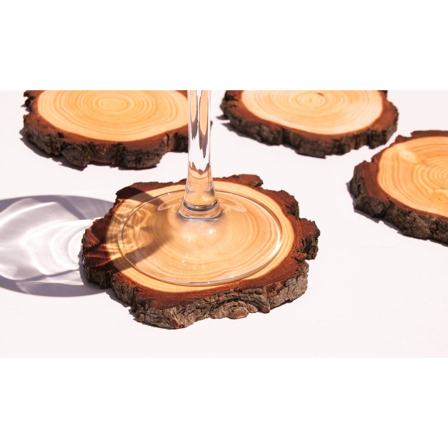 Wood Slice Coasters (4 Pack) - Coasters