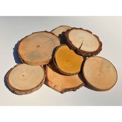 Wood Slice Seconds (100 Pack) - Small Wood Slices
