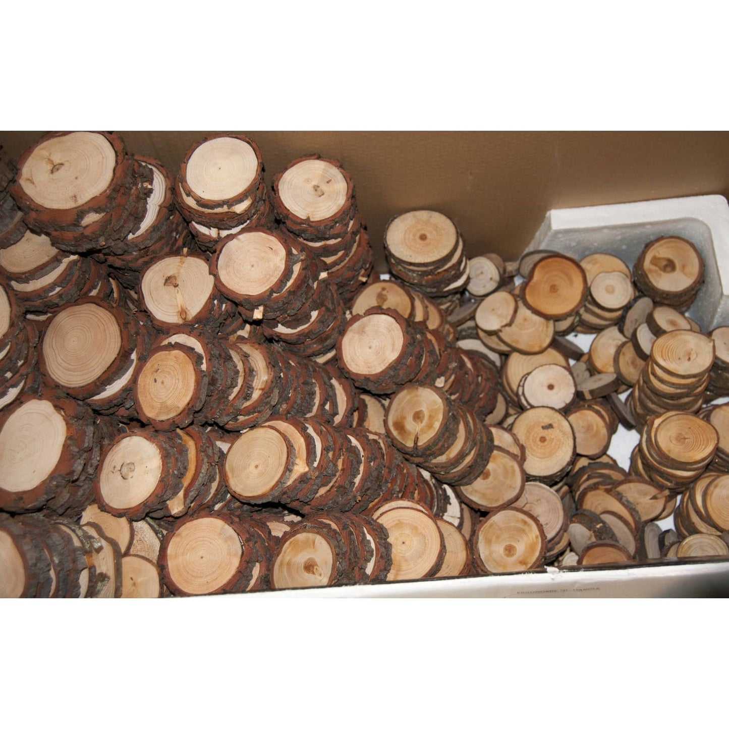 Wood Slice Seconds (100 Pack) - Small Wood Slices